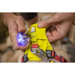 Ruffwear Hi & Light Harness -Tierbedarfsgeschäft ruffwear hi light harness 196031 0500 none