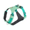 Ruffwear Hi & Light Harness 2 Ruffwear Hi & Light Harness -Tierbedarfsgeschäft ruffwear hi light harness 196040 0500 none
