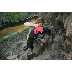 Ruffwear Webmaster Harness -Tierbedarfsgeschäft ruffwear webmaster harness 204671 0500 none