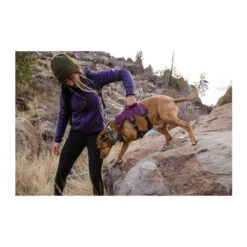 Ruffwear Webmaster Harness -Tierbedarfsgeschäft ruffwear webmaster harness 217109 0500 none