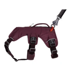 Ruffwear Webmaster Harness -Tierbedarfsgeschäft ruffwear webmaster harness 217110 0500 none