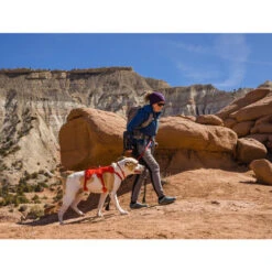 Ruffwear Webmaster Harness -Tierbedarfsgeschäft ruffwear webmaster harness 217118 0500 none