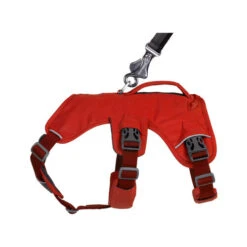 Ruffwear Webmaster Harness -Tierbedarfsgeschäft ruffwear webmaster harness 217119 0500 none