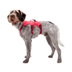 Ruffwear Webmaster Harness -Tierbedarfsgeschäft ruffwear webmaster harness 88447 0500 none