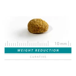 SANIMED Weight Reduction Cat -Tierbedarfsgeschäft sanimed weight reduction cat 159302 0500 none