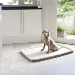 Savic Puppy Trainer + Pads -Tierbedarfsgeschäft savic puppy trainer pads 163498 0500 none