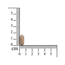 Monoderma Dry Hunde -Tierbedarfsgeschäft sensipharm monoderma dry hond 174694 0500 none