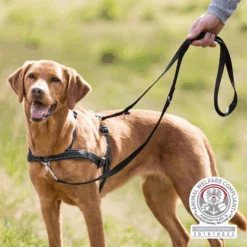 Trixie Lead'n Walk Soft Hundegeschirr -Tierbedarfsgeschäft trixie leadn walk soft hondentuig 213905 0500 none