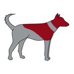 Trixie Aufblasbare Halskrause -Tierbedarfsgeschäft trixie opblaasbare beschermkraag 101866 0500 none