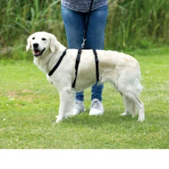 Trixie Stay Sicherheitsgeschirr -Tierbedarfsgeschäft trixie stay hondentuig 95231 0500 none